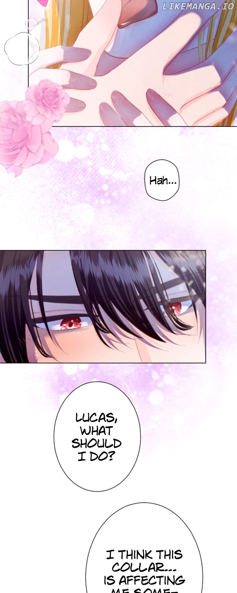 A Secret Contract and the Stallion Sage Chapter 58 - page 51