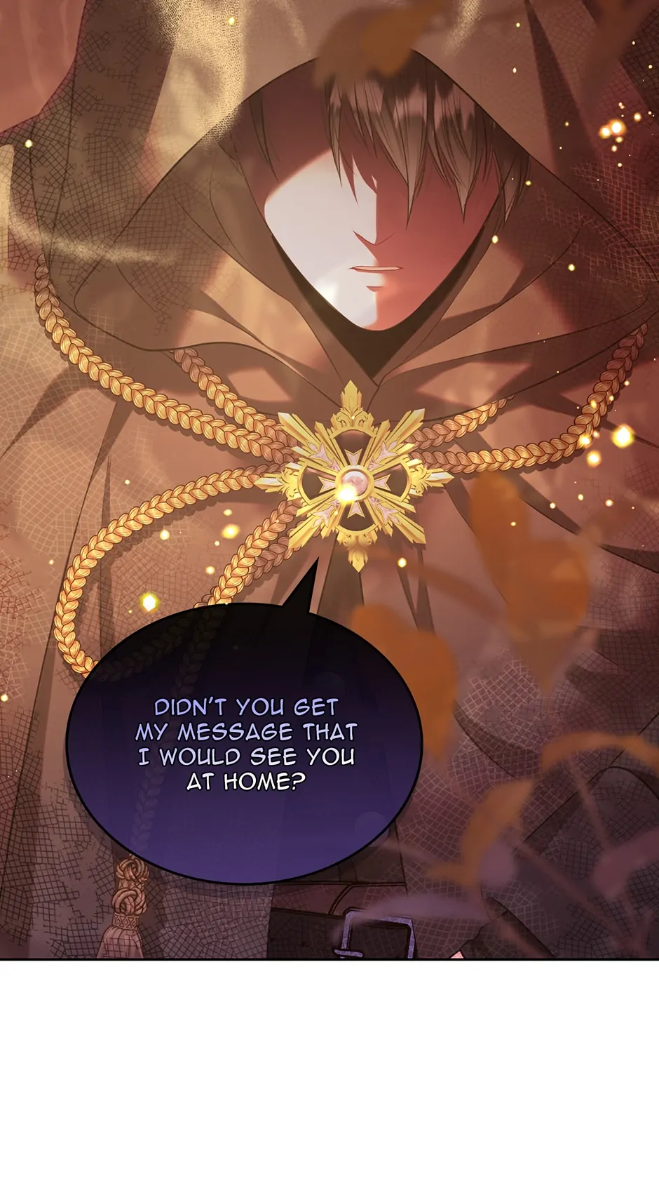 I Will Divorce the Female Lead’s Siscon Brother Chapter 36 - page 70