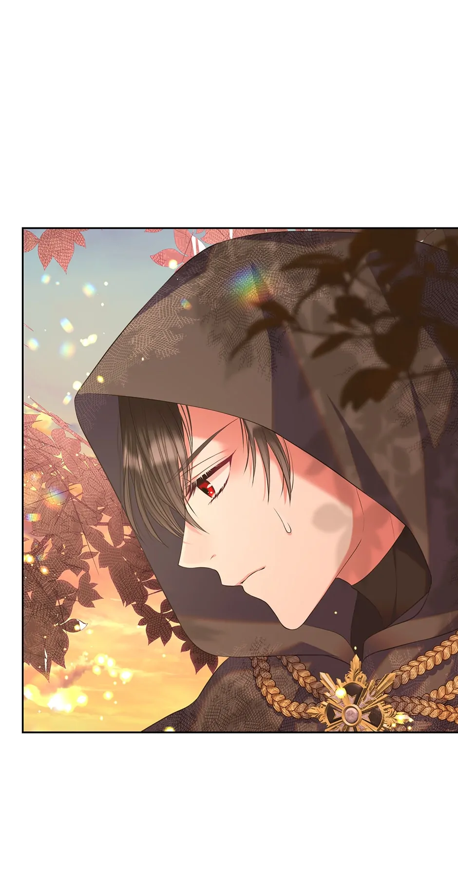 I Will Divorce the Female Lead’s Siscon Brother Chapter 37 - page 15
