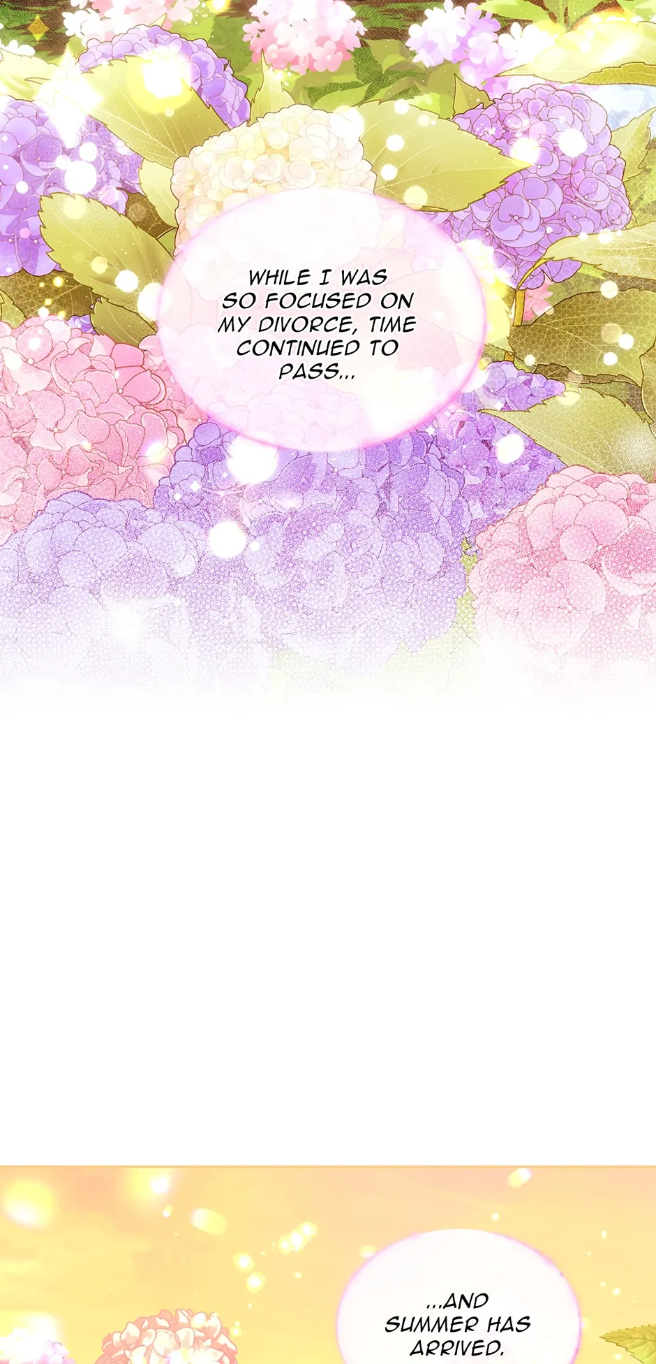 I Will Divorce the Female Lead’s Siscon Brother Chapter 37 - page 29