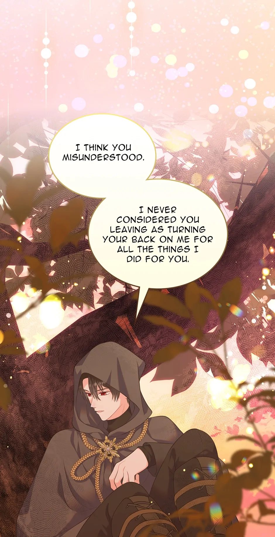 I Will Divorce the Female Lead’s Siscon Brother Chapter 37 - page 45