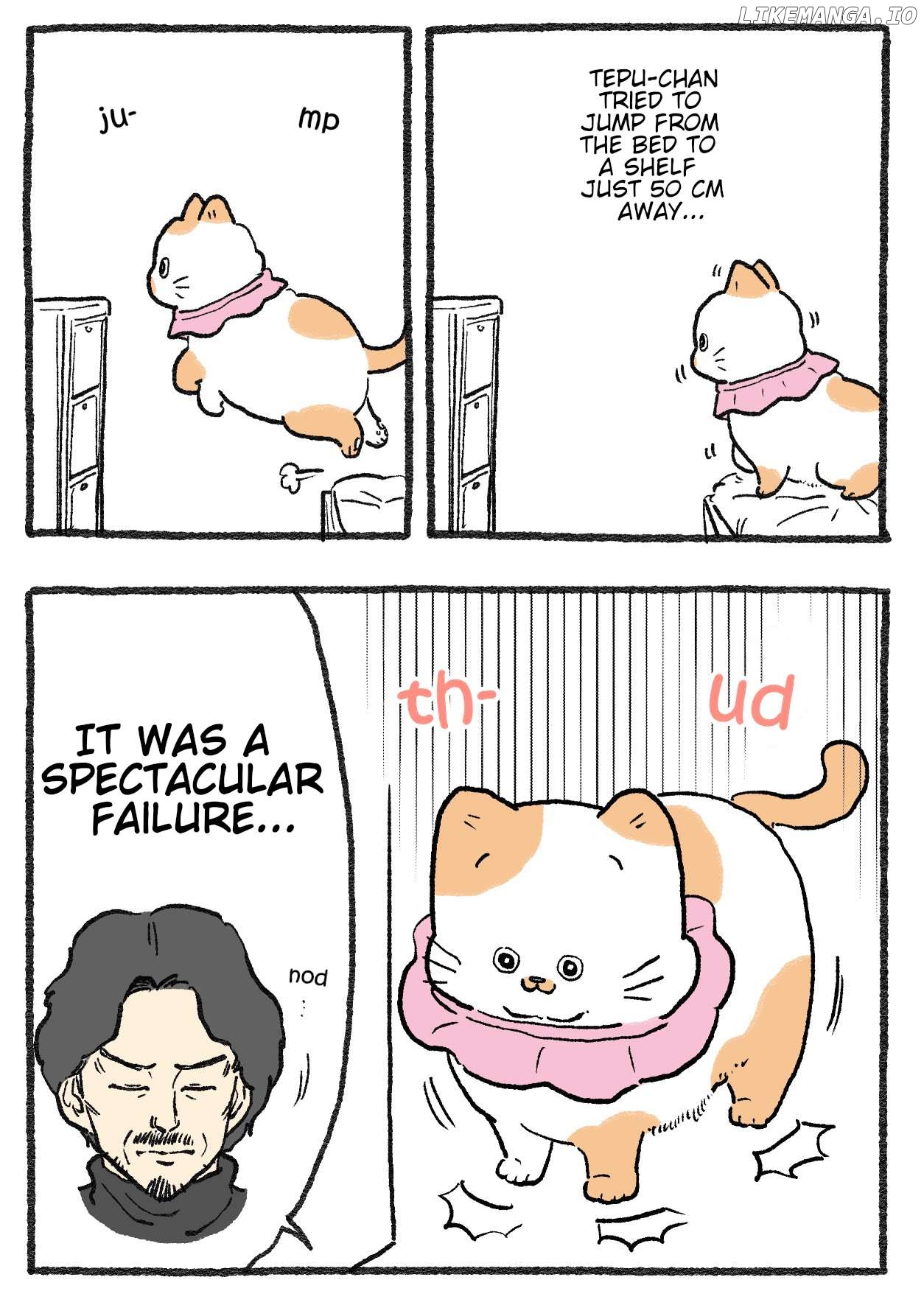 The Old Man Who Was Reincarnated As A Cat Chapter 478 - page 2
