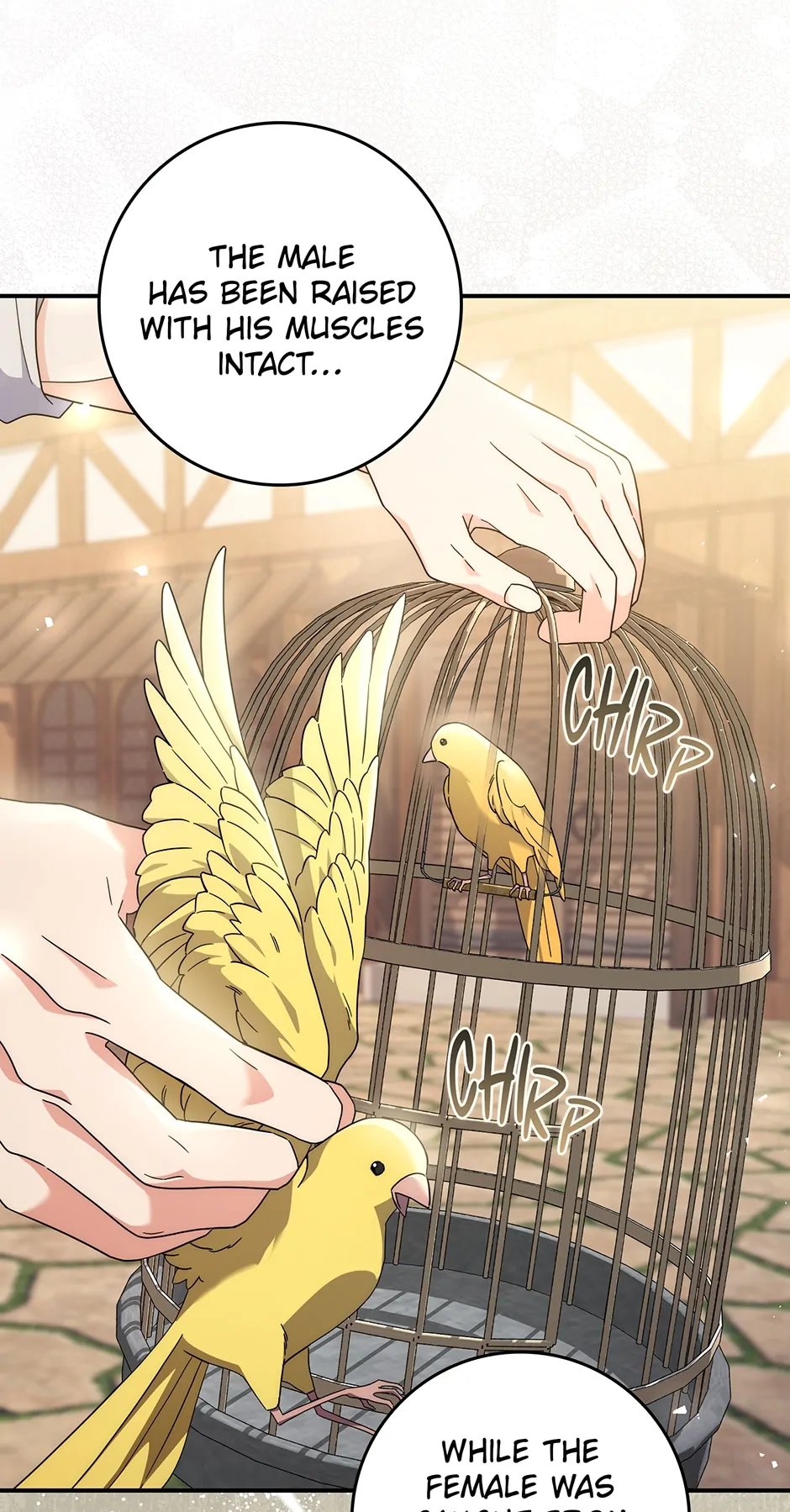 I Listened to My Husband and Brought In a Lover Chapter 36 - page 31