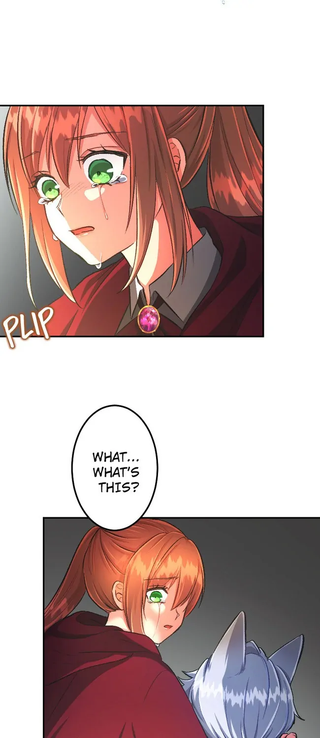 Sacrificed to Be the Beast King's Bride Chapter 30 - page 33