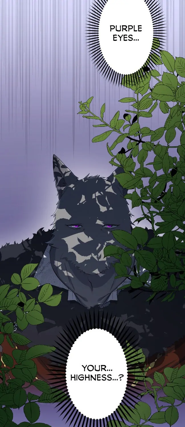 Sacrificed to Be the Beast King's Bride Chapter 37 - page 28