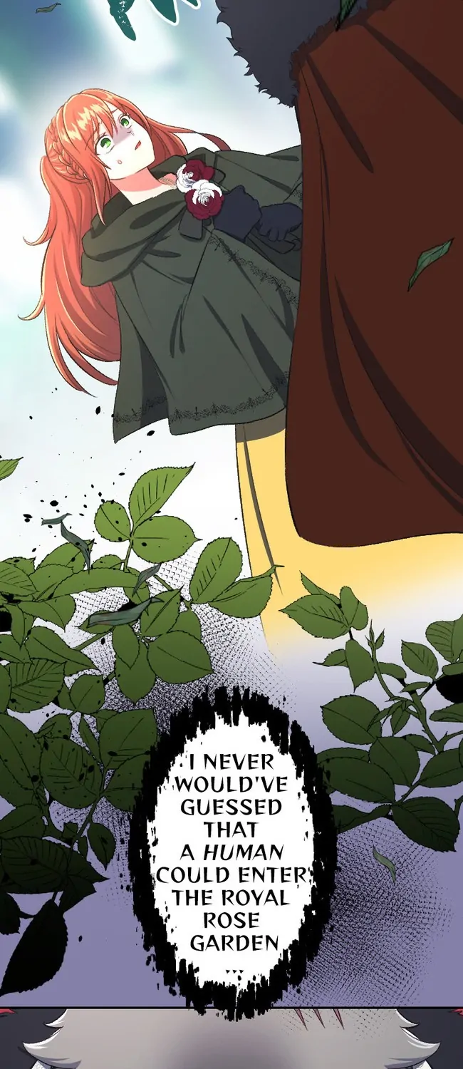 Sacrificed to Be the Beast King's Bride Chapter 37 - page 31