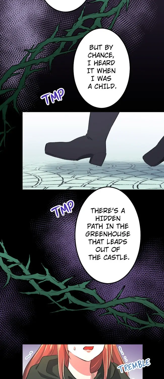 Sacrificed to Be the Beast King's Bride Chapter 37 - page 33