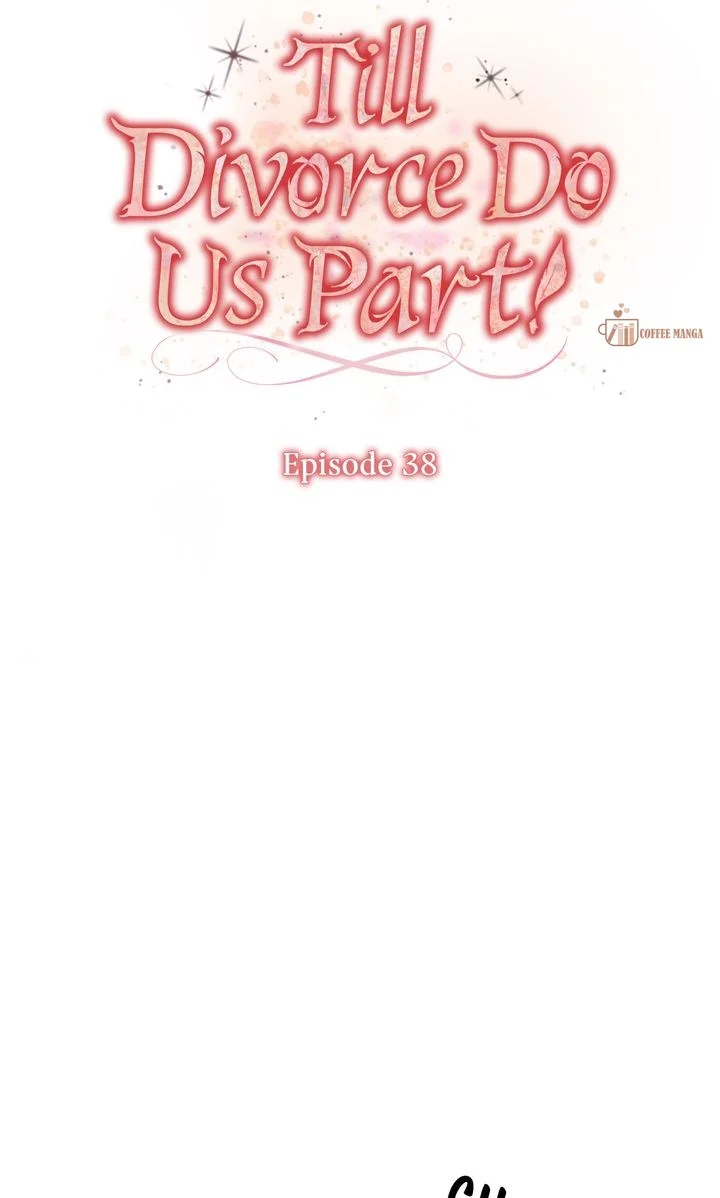 Till Divorce Do Us Part! Chapter 38 - page 14