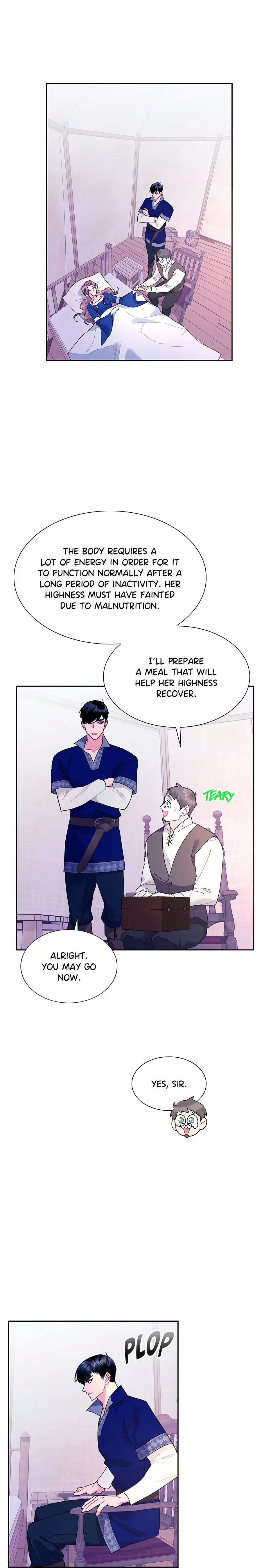 The Falcon Princess Chapter 40 - page 2