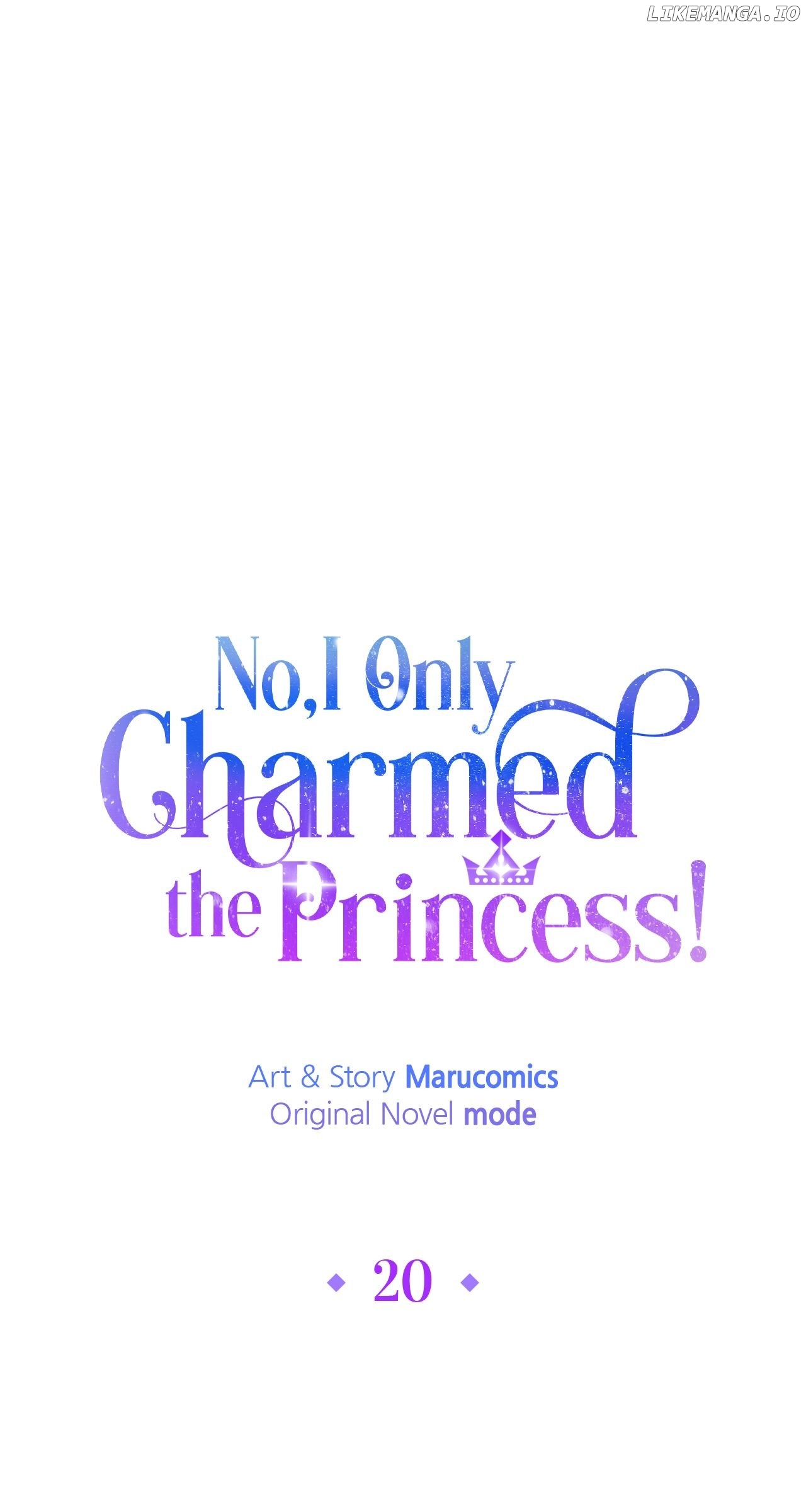 No, I Only Charmed the Princess! Chapter 20 - page 31
