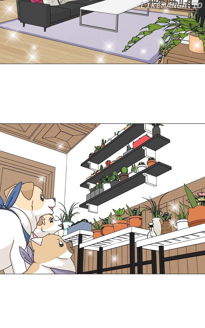 The Dog Diaries Chapter 165 - page 47