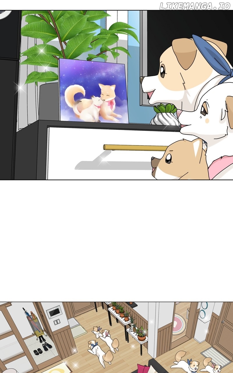 The Dog Diaries Chapter 165 - page 48