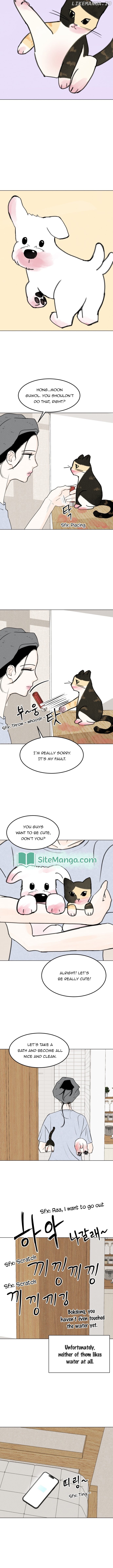 Want to See My Cat? Chapter 15 - page 5