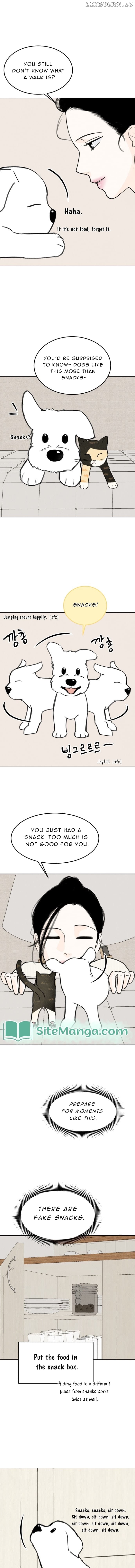 Want to See My Cat? Chapter 16 - page 9