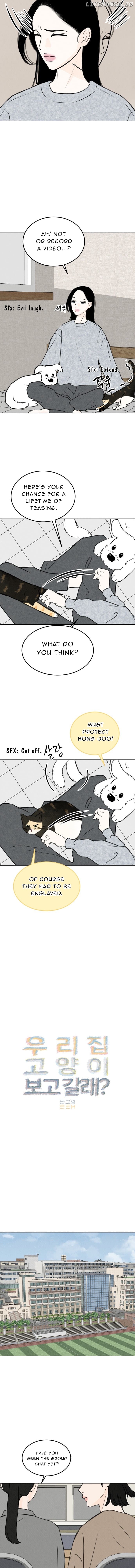 Want to See My Cat? Chapter 22 - page 8