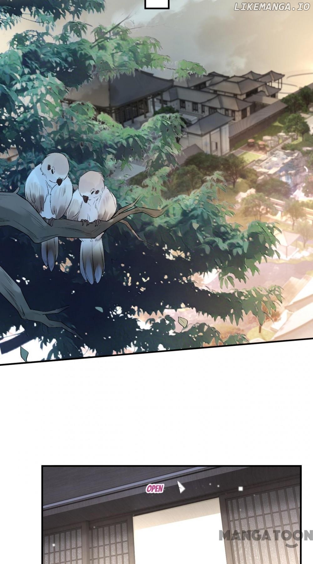 Madam and Her Daily Online Face-Slapping Chapter 19 - page 31