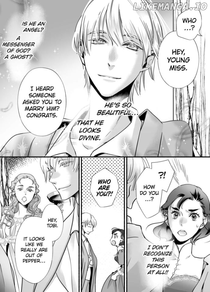 Cinderella Got Married, So the Evil Stepsister Can Chill Out...Right? Chapter 8 - page 19
