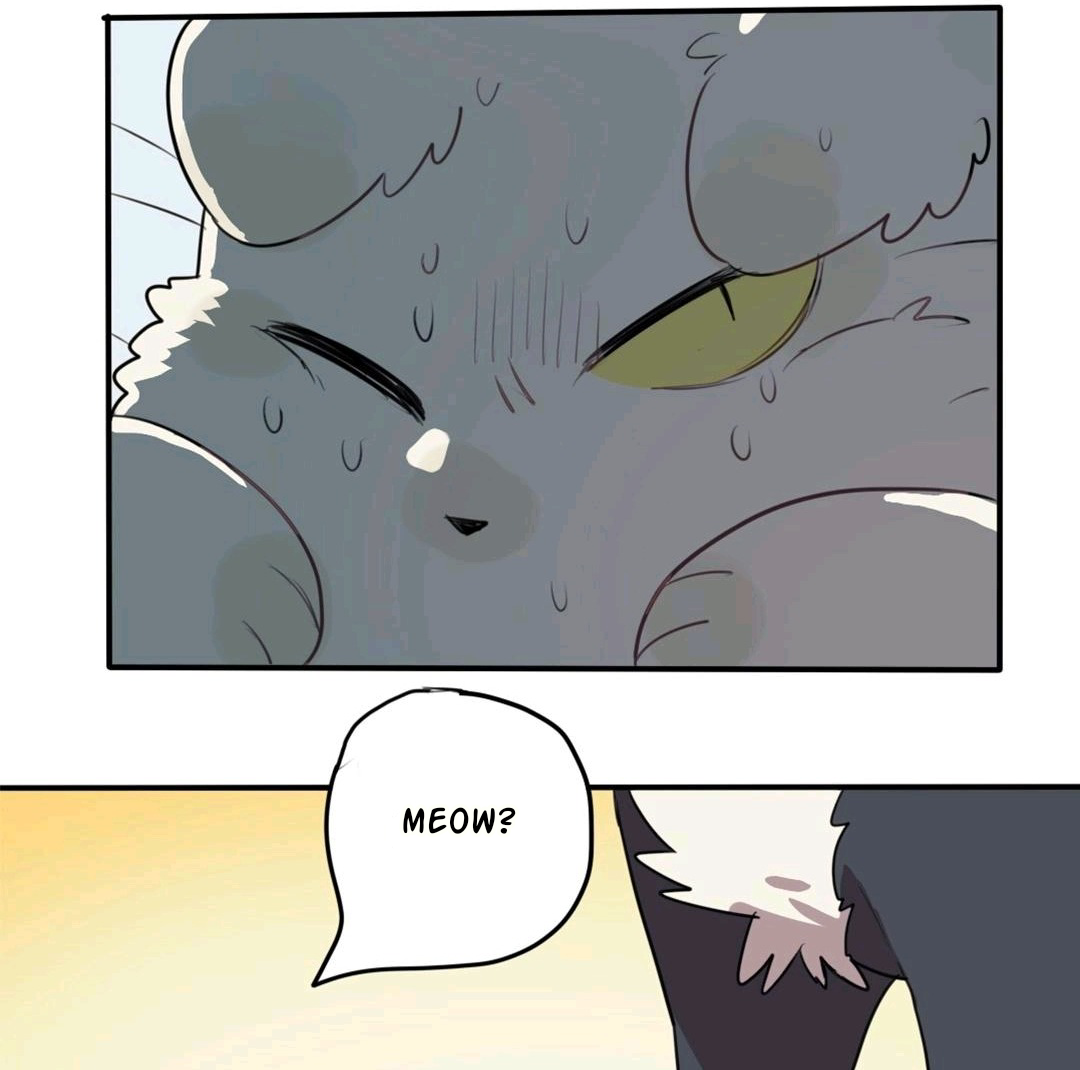 Catman and Dogman Chapter 76 - page 10