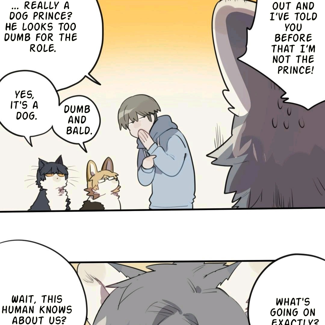 Catman and Dogman Chapter 77 - page 14