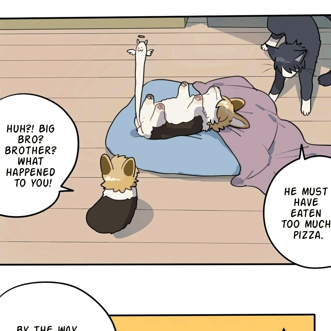 Catman and Dogman Chapter 81 - page 17