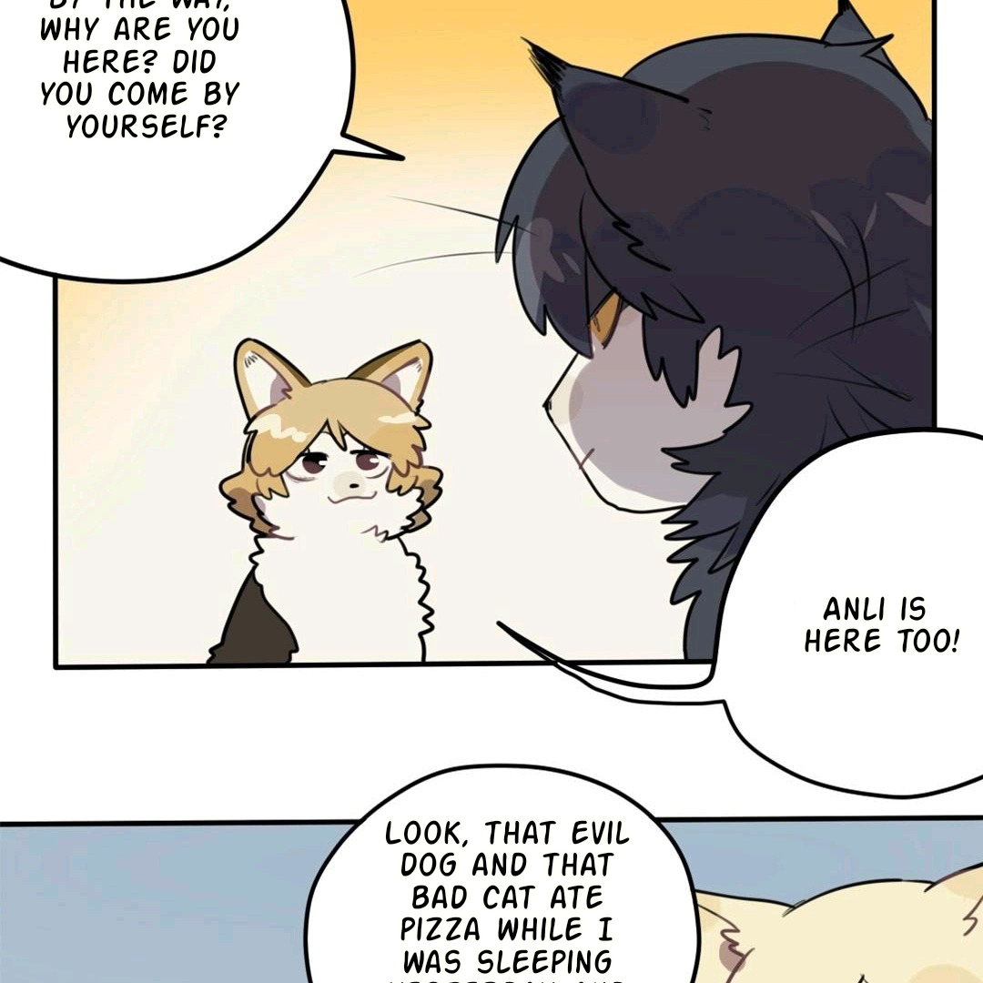 Catman and Dogman Chapter 81 - page 18