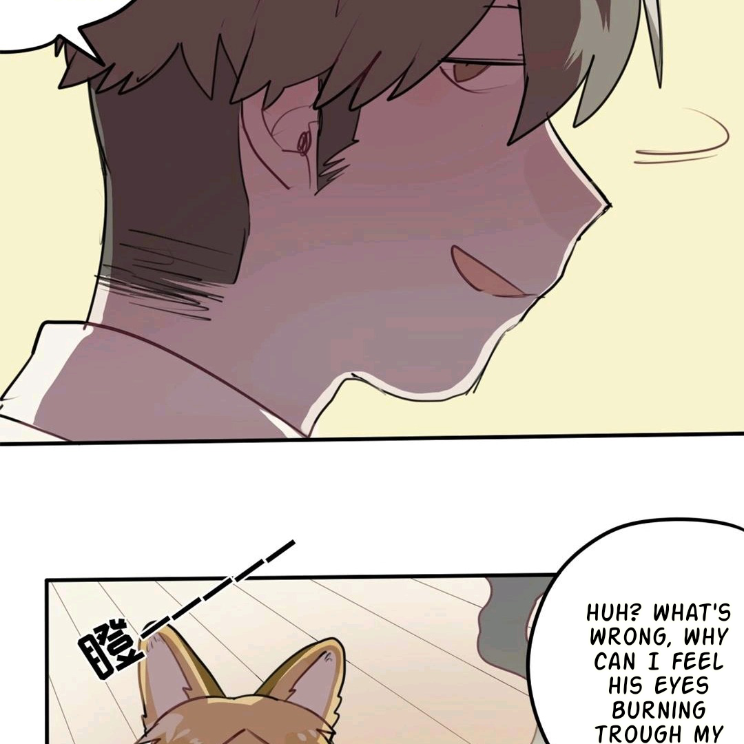 Catman and Dogman Chapter 81 - page 24