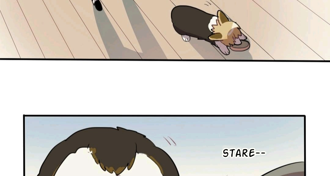 Catman and Dogman Chapter 83 - page 24