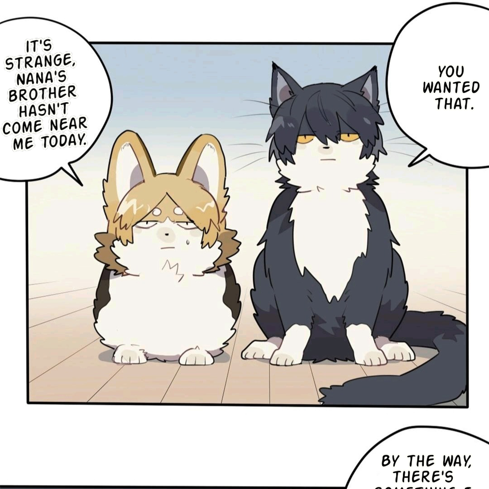 Catman and Dogman Chapter 84 - page 6