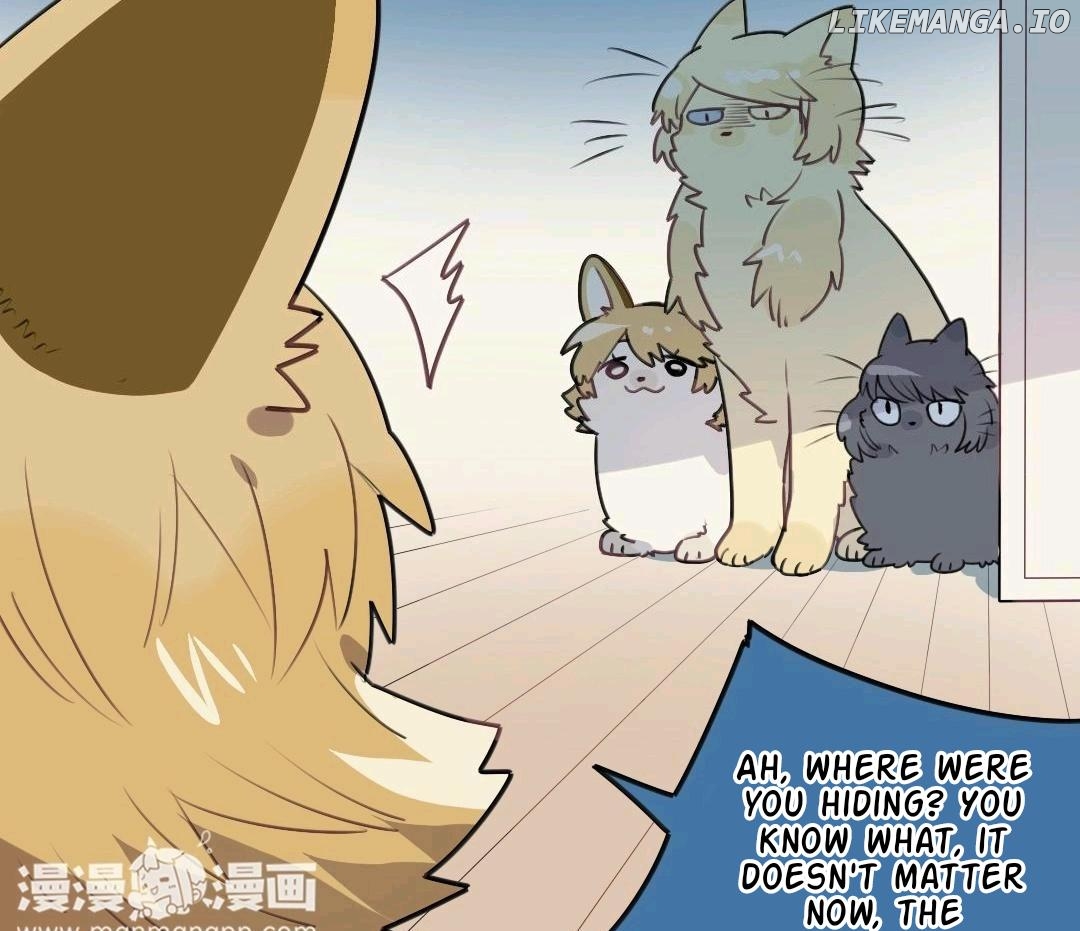 Catman and Dogman Chapter 89 - page 17