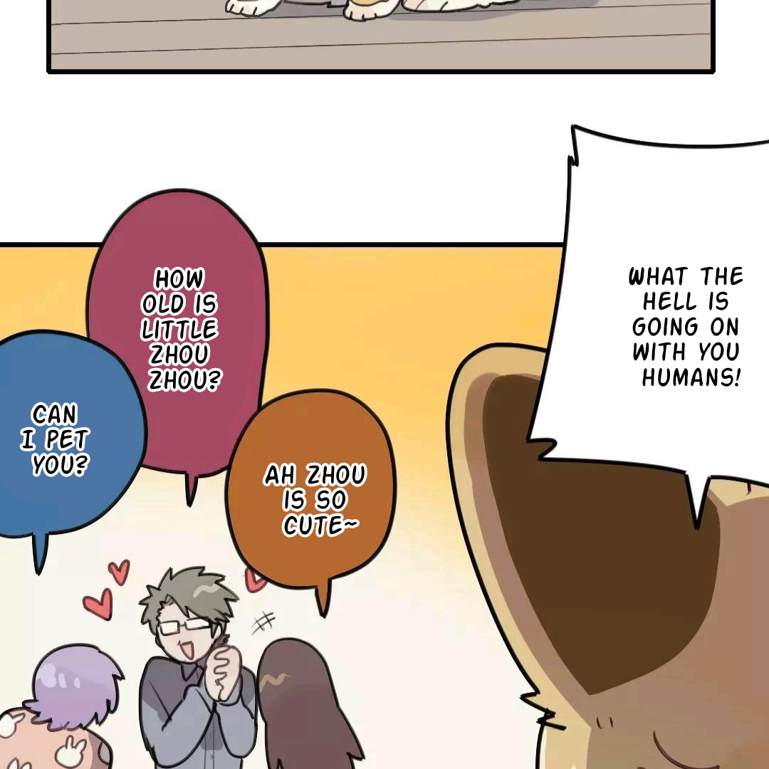 Catman and Dogman Chapter 106 - page 14