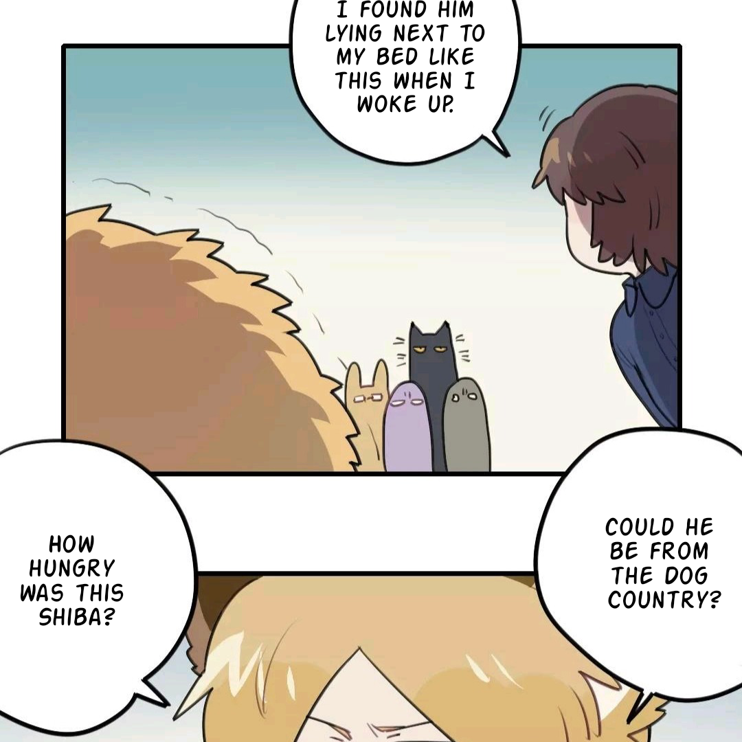 Catman and Dogman Chapter 106 - page 2