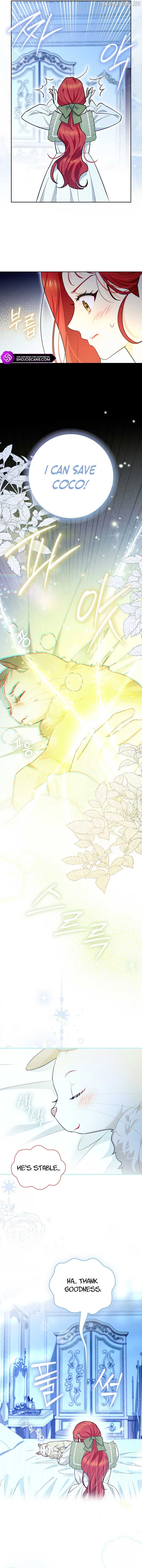 Even Though I Transmigrated as a Villainess, I’d Rather Raise a Cat Chapter 16 - page 3