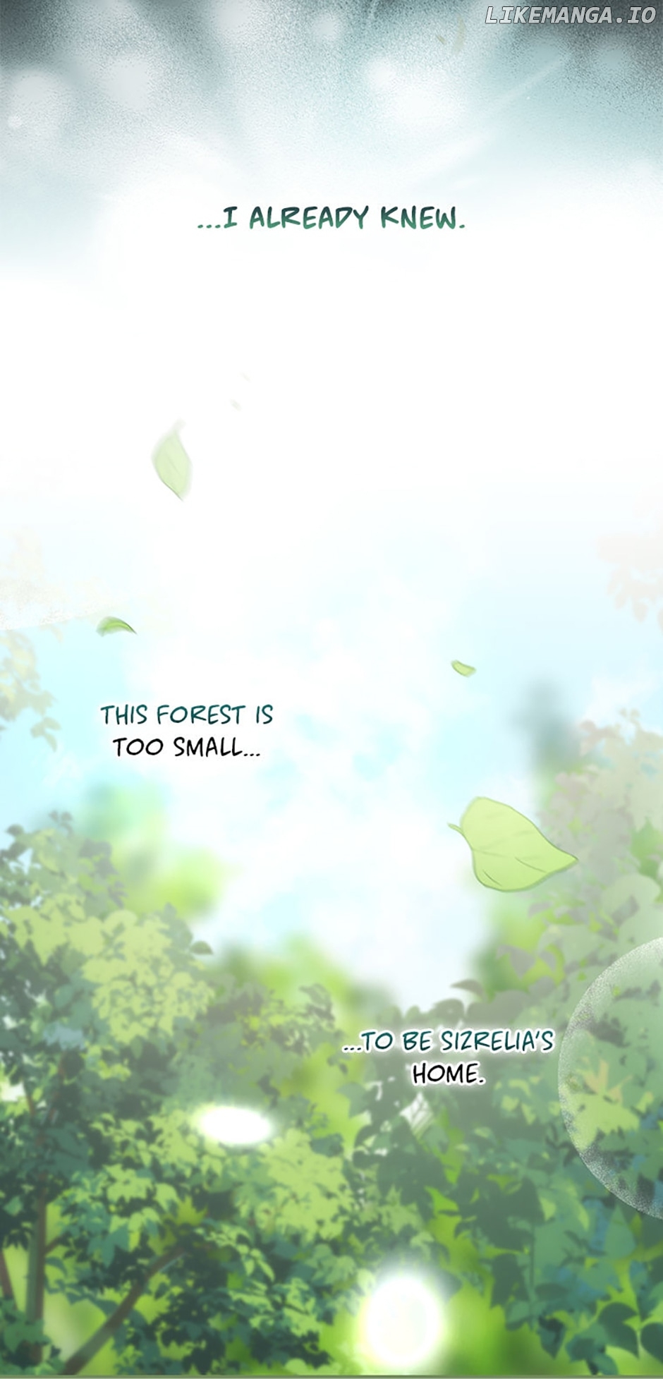 The Guardian Dragon and the Fake Princess Chapter 4 - page 29