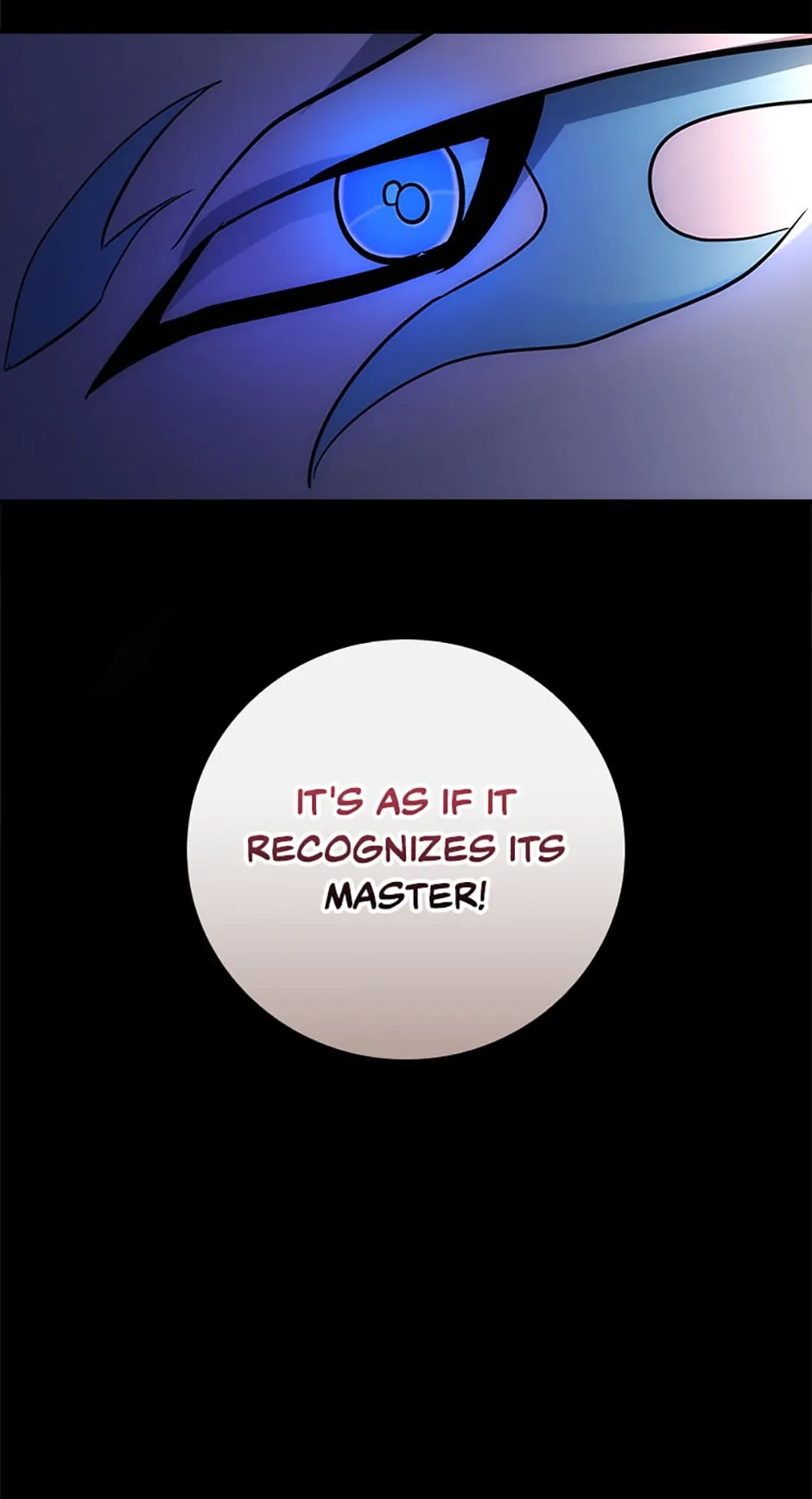 The Guardian Dragon and the Fake Princess Chapter 8 - page 68