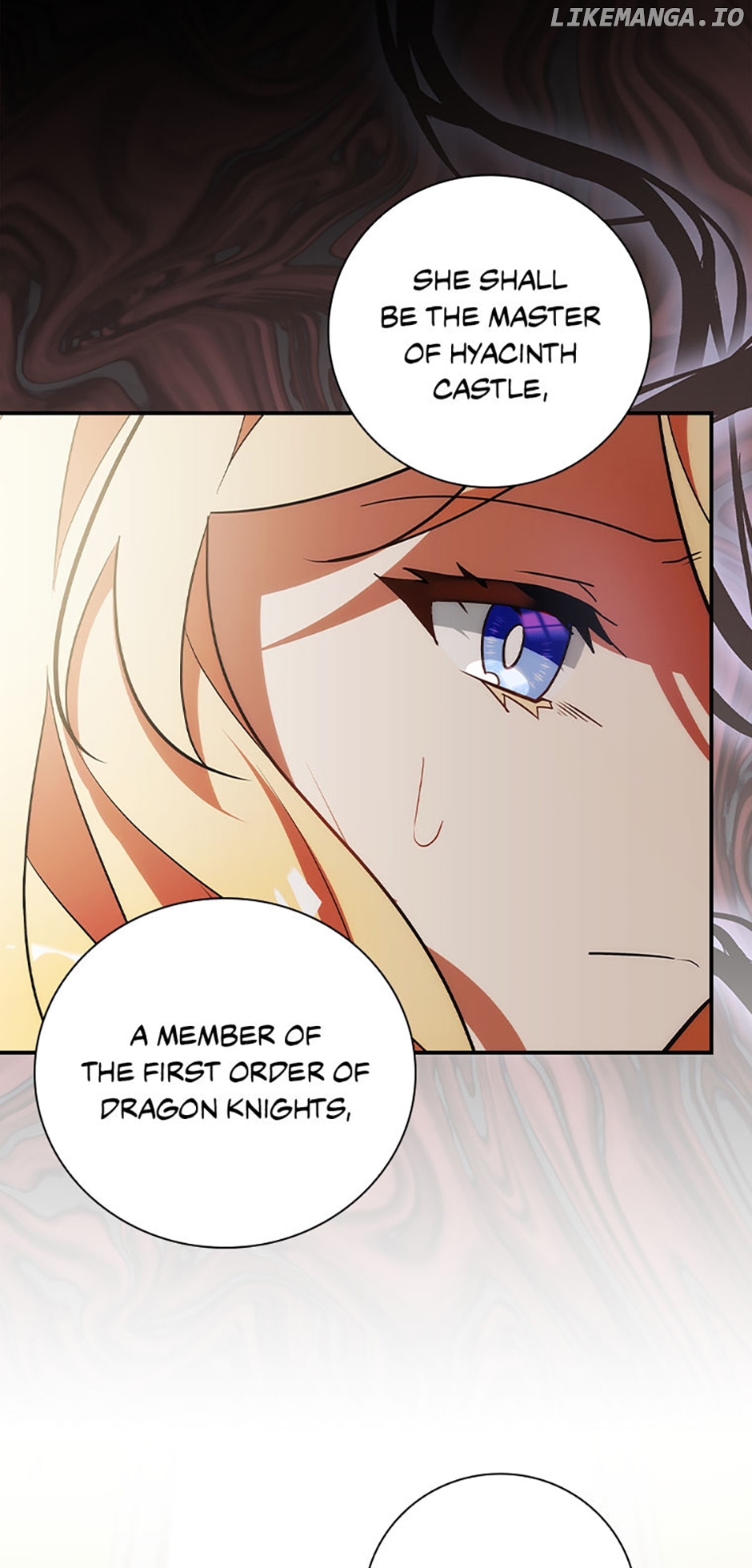 The Guardian Dragon and the Fake Princess Chapter 15 - page 41
