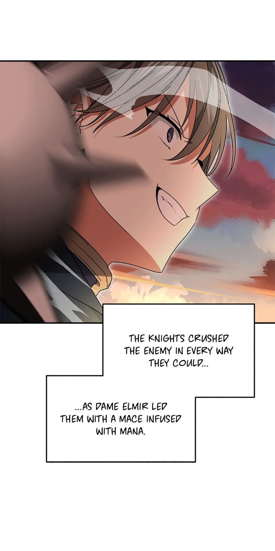 The Guardian Dragon and the Fake Princess Chapter 41 - page 13