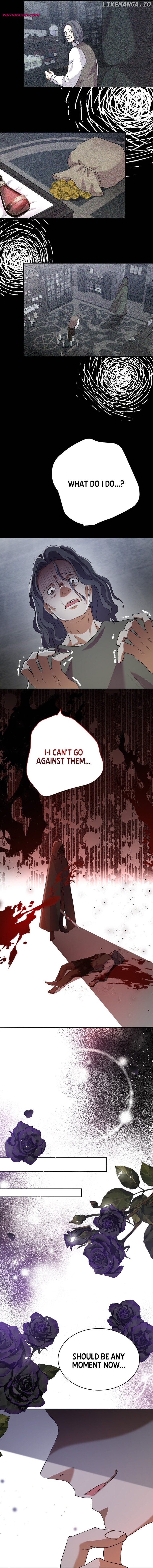 A Torn Heart between Cold King, Cruel King Chapter 17 - page 12