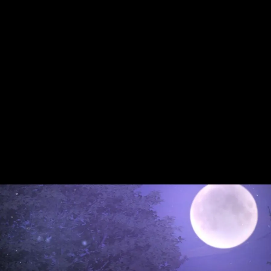 THE KING'S ILLEGITMATE DAUGHTER Chapter 1 - page 72