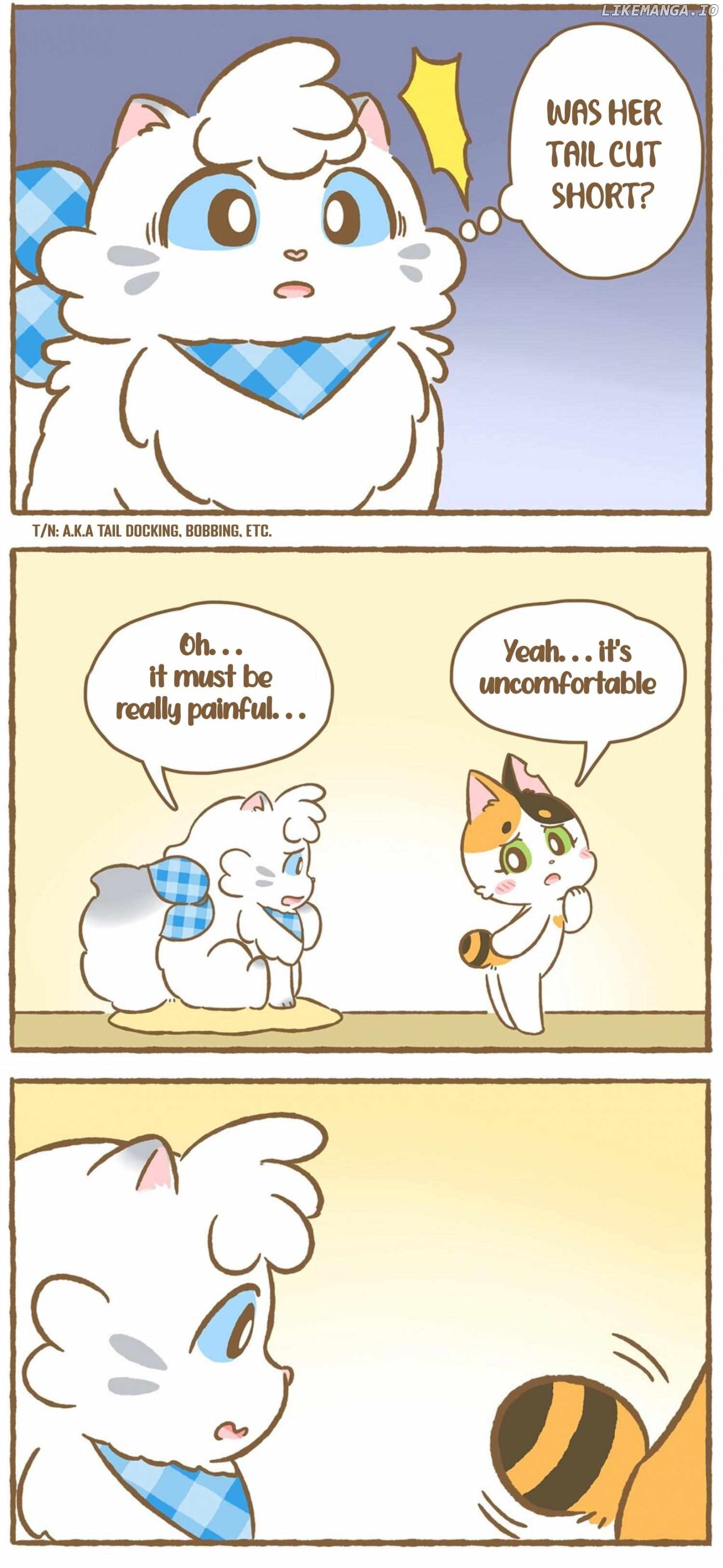 Love for My Cutie Chapter 1 - page 12