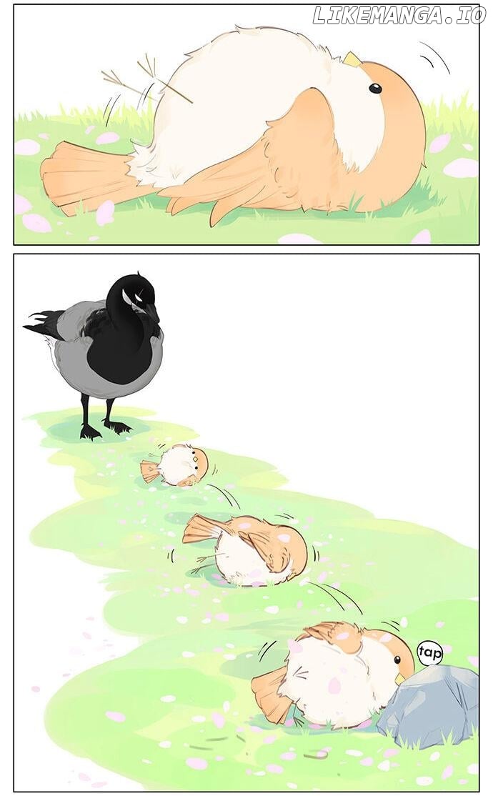 Southern Bird And Northern Bird chapter 43 - page 6