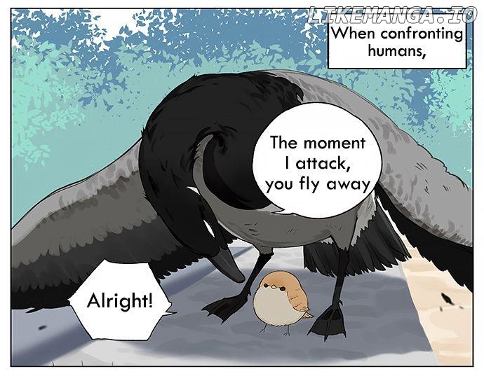 Southern Bird And Northern Bird chapter 17 - page 2