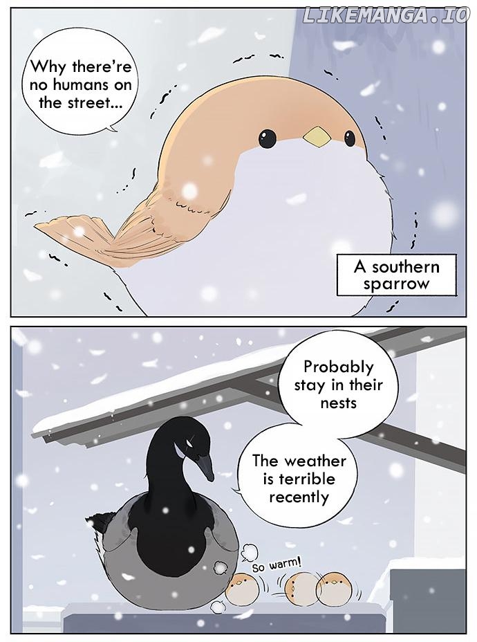 Southern Bird And Northern Bird chapter 30 - page 2