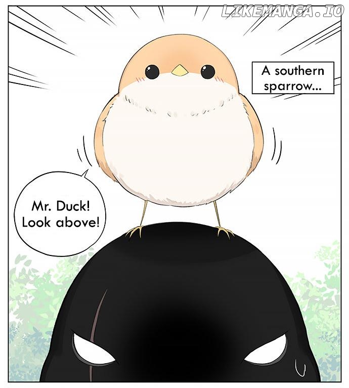 Southern Bird And Northern Bird chapter 24 - page 2