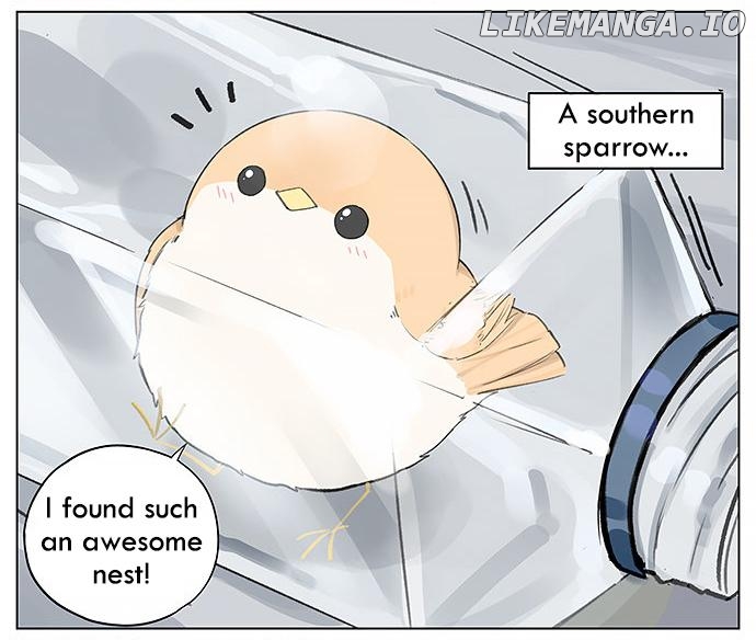 Southern Bird And Northern Bird chapter 25 - page 2