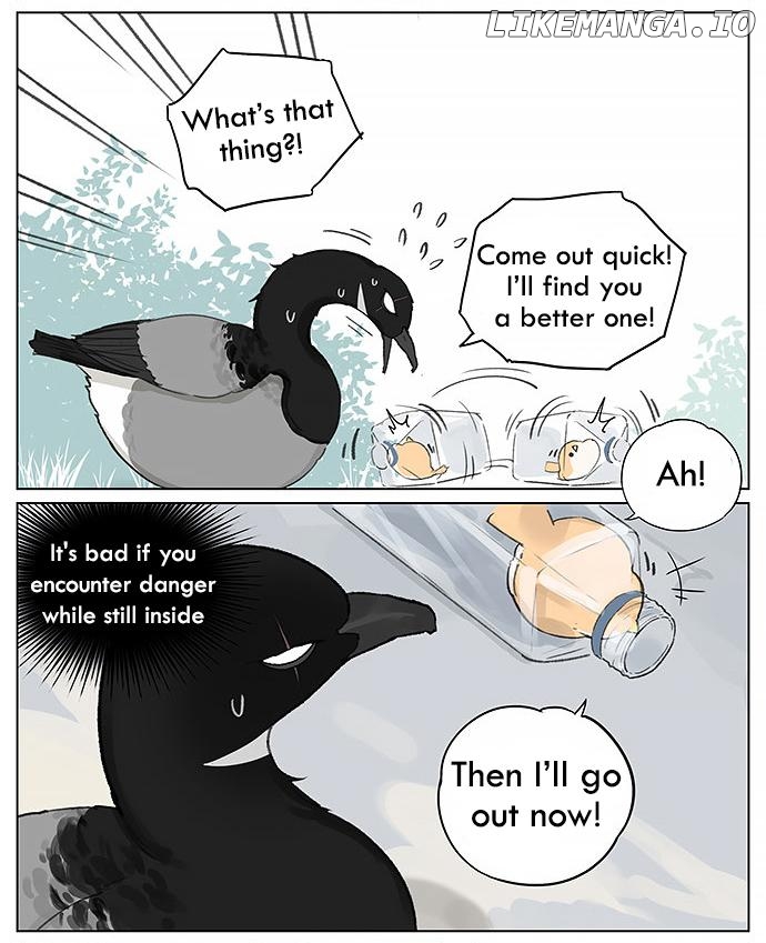 Southern Bird And Northern Bird chapter 25 - page 3