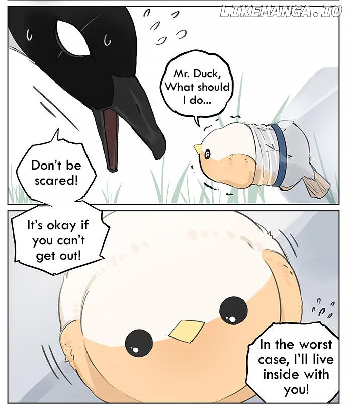 Southern Bird And Northern Bird chapter 25 - page 5