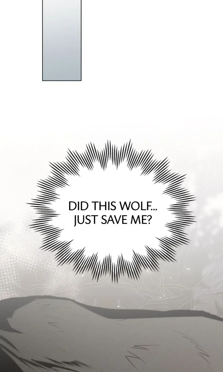 Werewolves Going Crazy over Me Chapter 55 - page 27