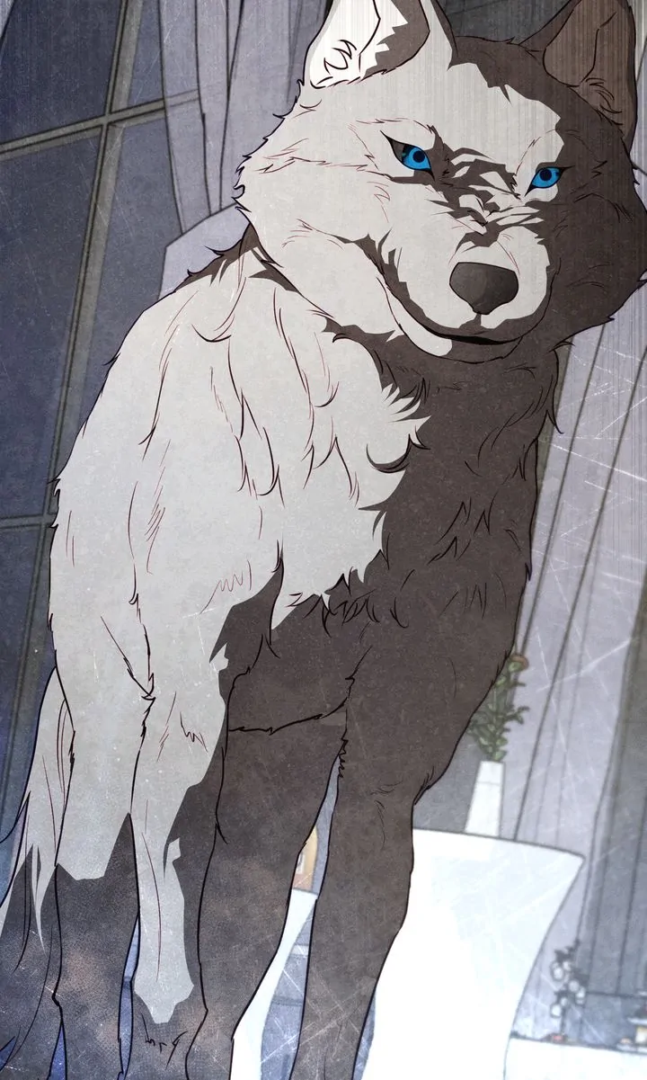 Werewolves Going Crazy over Me Chapter 55 - page 35