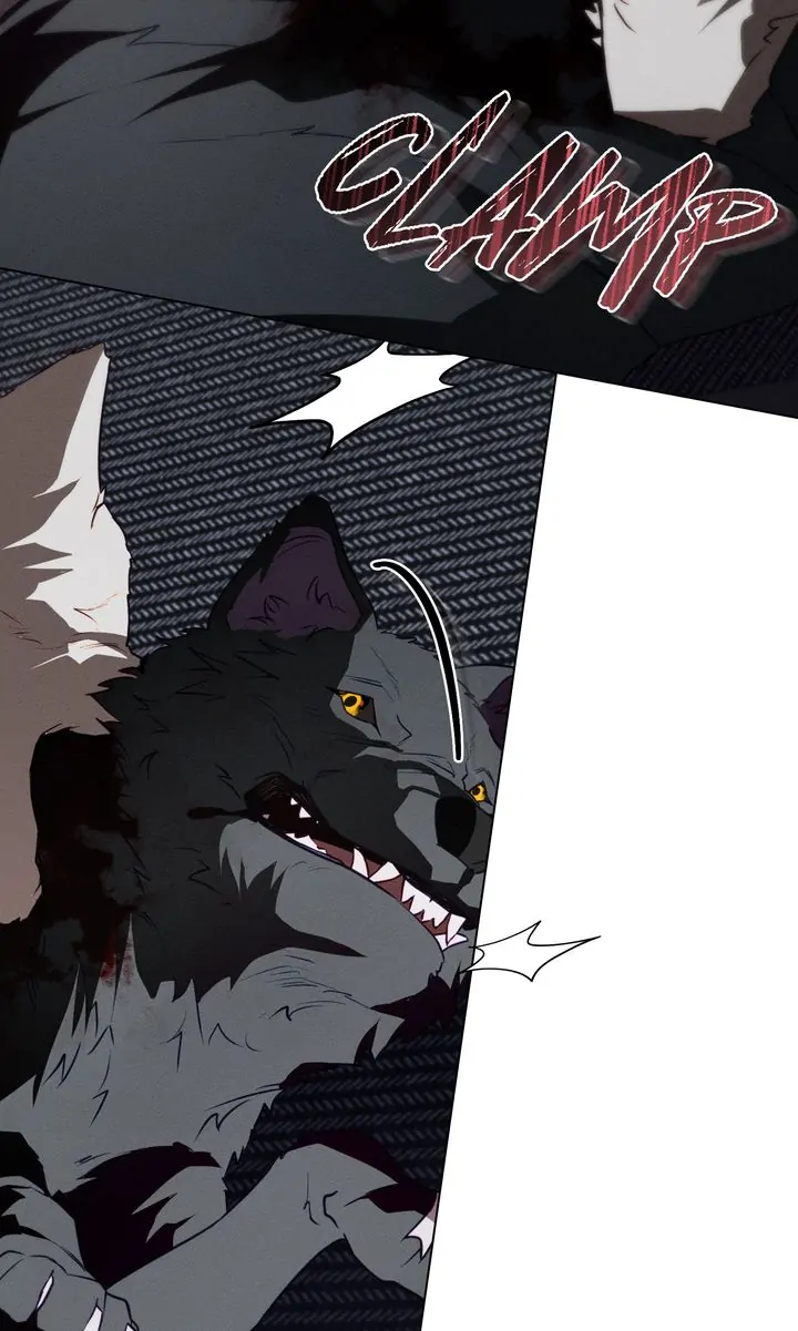 Werewolves Going Crazy over Me Chapter 55 - page 51