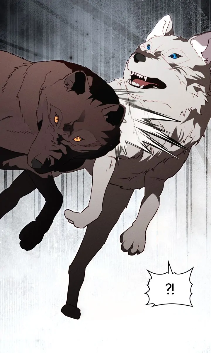 Werewolves Going Crazy over Me Chapter 55 - page 61
